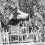 20250524_15-15-48_IMG_8314